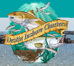 Things To Do https://30aescapes.icnd-cdn.com/images/thingstodo/Destin Inshore Charters.png